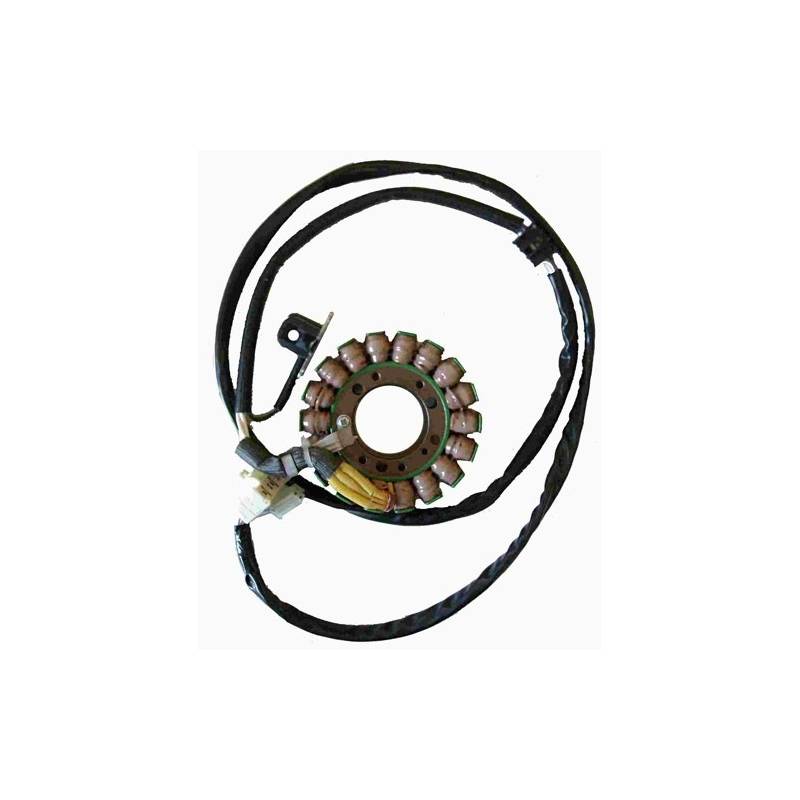 Stator de encendido electronico para moto con referencia 04161601