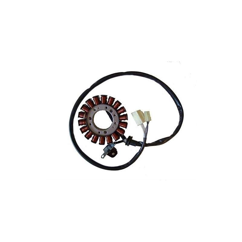 Stator de encendido electronico para moto con referencia 04161618