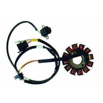 Stator de encendido electronico para moto con referencia 04163053