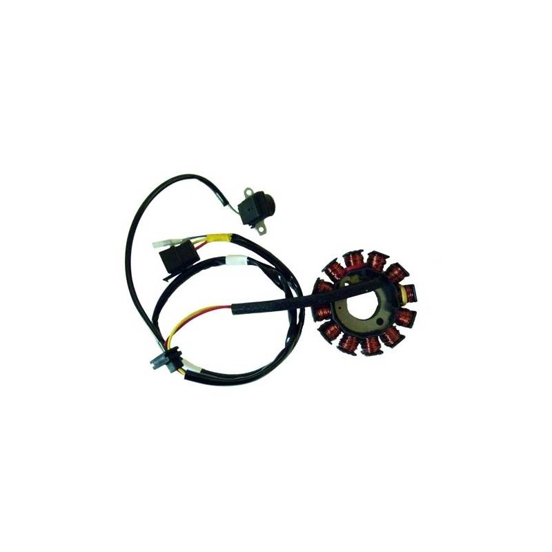 Stator de encendido electronico para moto con referencia 04163053