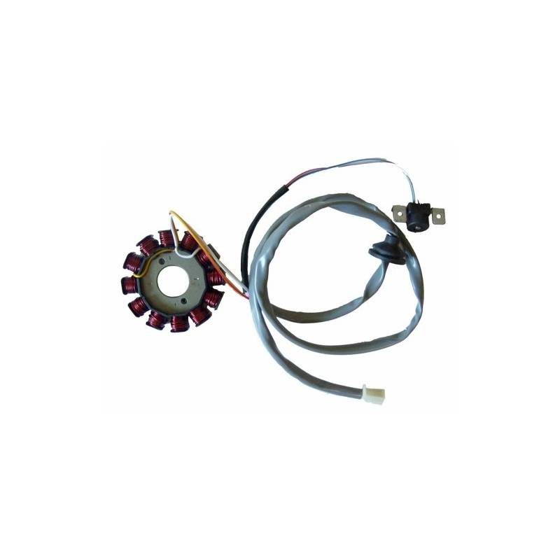 Stator de encendido electronico para moto con referencia 04163073