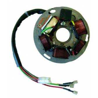 Stator de encendido electronico para moto con referencia 04164370