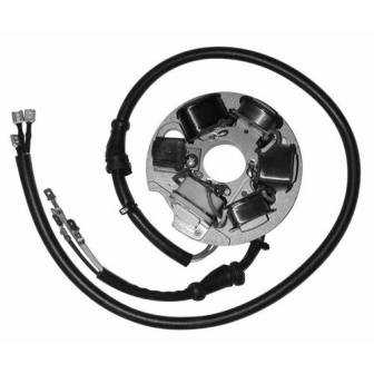 Stator de encendido electronico para moto con referencia 04317310