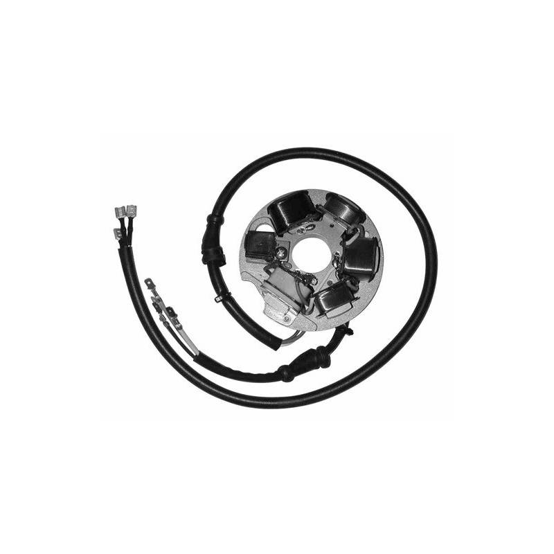 Stator de encendido electronico para moto con referencia 04317310