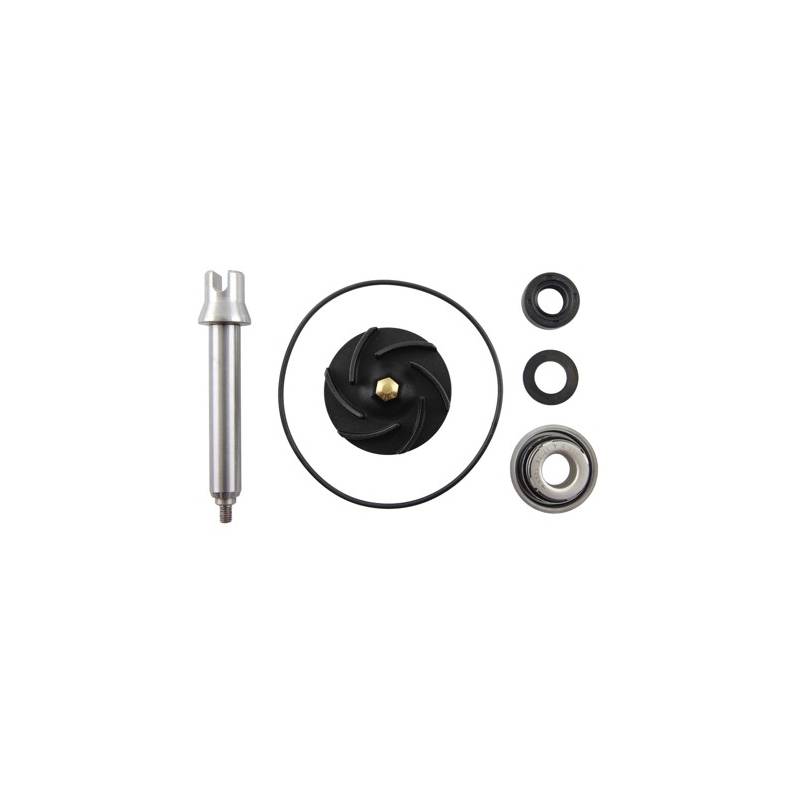 Kit Reparacion Bomba Agua Motor Piaggio 400 04