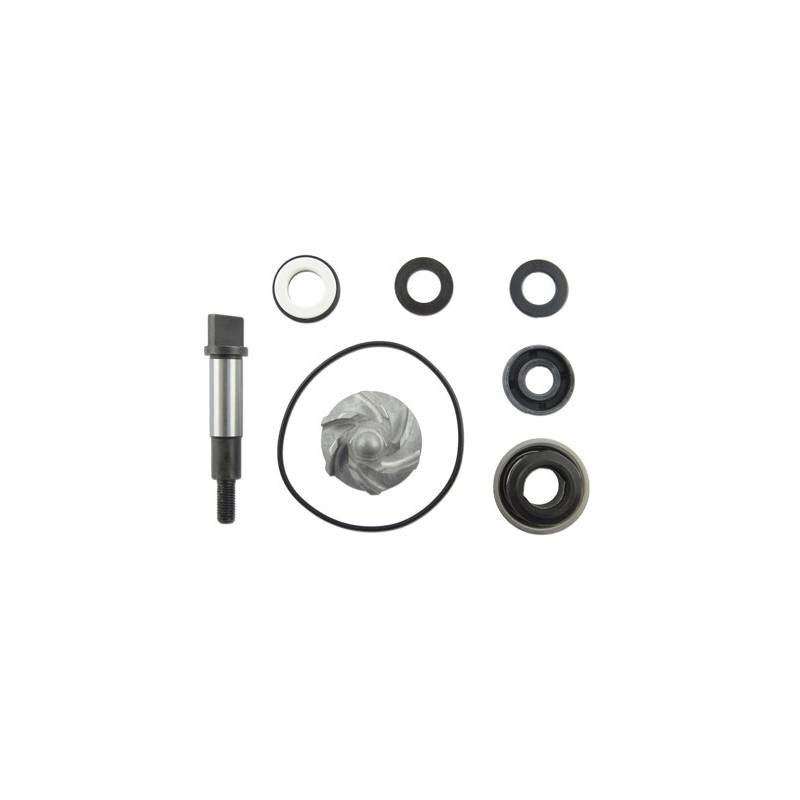 Kit Reparacion Bomba Agua Motor Honda Sh 300