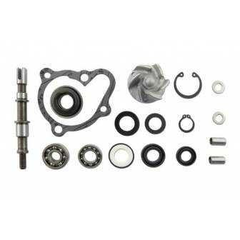 Kit Reparacion Bomba Agua Motor X-Citing 250