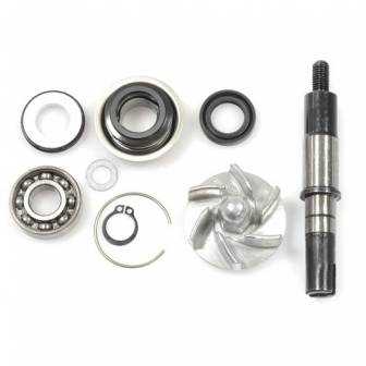 Kit Reparacion Bomba Agua Motor Daelim S3 125