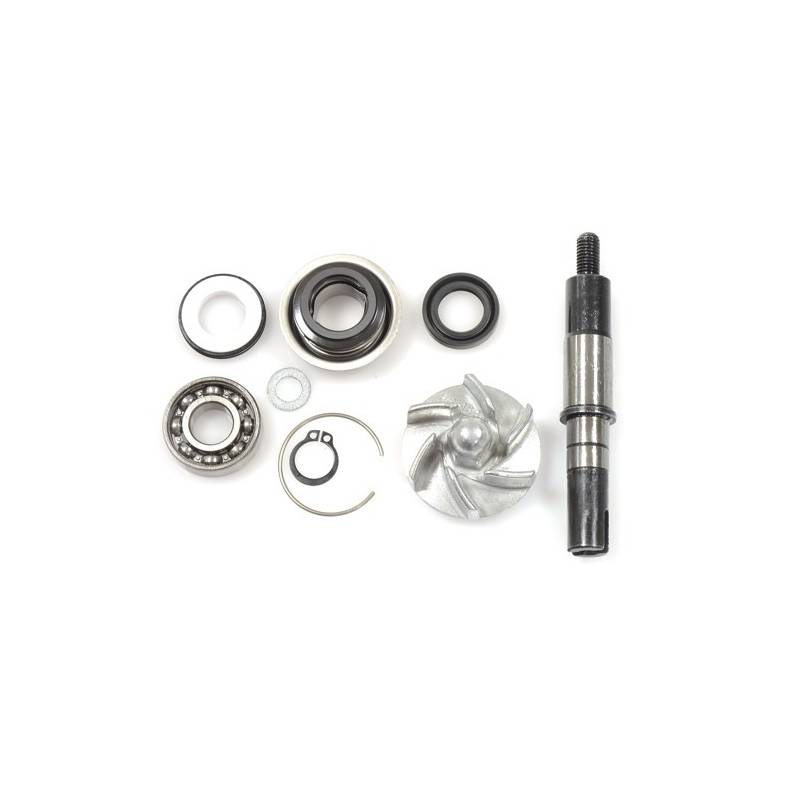 Kit Reparacion Bomba Agua Motor Daelim S3 125