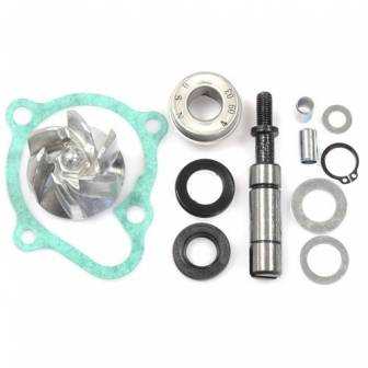 Kit Reparacion Bomba Agua Motor Superdink 200-300