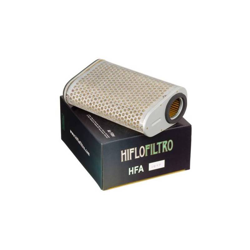 Filtro Aire Hiflofiltro HFA1929