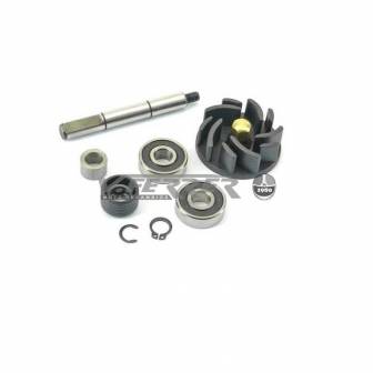 KIT REPARACION BOMBA PIAGGIO HEXAGON/RUNNER 125/180CC 2T