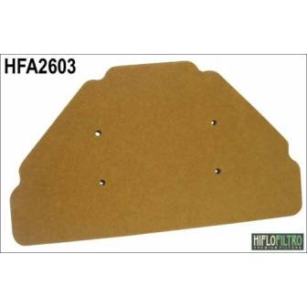 Filtro aire moto HIFLOFiltro HFA2603