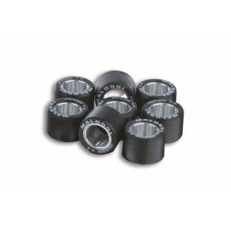 RODILLOS MALOSSI HTROLL 28,2X19,9 28G 6615437G0 (8UNI)