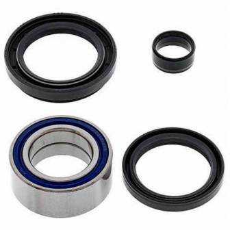 KIT DE RODAMIENTOS RUEDA ALL BALLS 25-1003