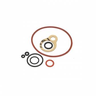 Kit de Reparación TNT Carburador Dellorto PHBN